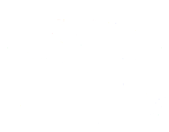 Bat City Assets Logo
